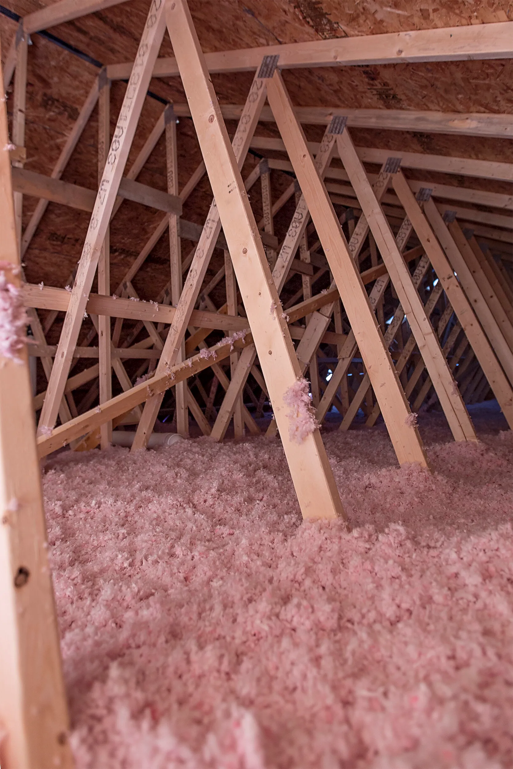Insulation3.jpg